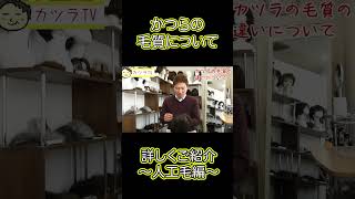 【カツラTV】カツラの毛質について詳しくご紹介します〜人工毛編〜