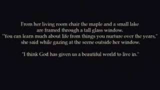 Finding Solace in Beauty