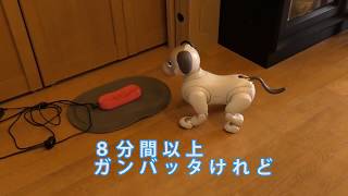 aibo イチロー  充電失敗　その１