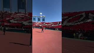 Wydad Casablanca have really brought the ATMOSPHERE 🇲🇦😍