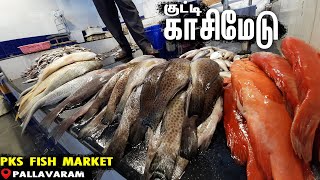 KUTTY KASIMEDU in Namma Pallavaram | PKS FISH MARKET Pallavaram Chennai | WHOLE SALE fish market