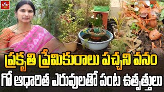 గో ఆధారిత ఎరువులతో పంట ఉత్పత్తులు | Compost Preparation with Kitchen Waste | Nelathalli | hmtv agri