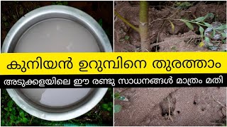 കുനിയൻ ഉറുമ്പിനെ തുരത്താം| അടുക്കളയിലുള്ള ഈ രണ്ട് സാധനങ്ങൾ മാത്രം മതി|How to get rid of ants|