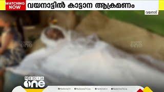 വയനാട്ടിൽ തുടർകഥയായി കാട്ടാനാക്രമണം; സർക്കാരിനെതിരെ നാട്ടുകാരുടെ രോഷം