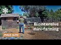 Biointensive mini-farming: grow more food in less space