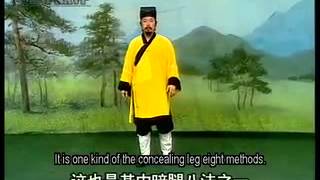 Wudang TaiYi - Xiao yao (Free Palm) by Grandmaster You Xuande