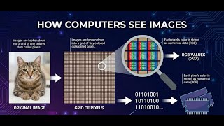 What is an Image? Computer Vision & Pixel Arrays Explained