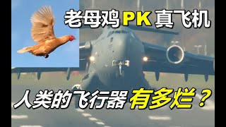 老母鸡PK真飞机，人类的飞行器有多烂？不可思议地飞鸡 【萌萌战队】