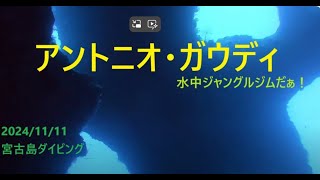 アントニオ・ガウディ 再訪 宮古島 Part2