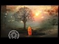 20 min Mindfulness Meditation Music Relax Mind Body: Buddhist Monk Chanting Mantra