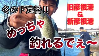 ド定番‼︎   冬はここで決まりやろ　琵琶湖（旧彦根港\u0026新彦根港）　ブラックバス釣り