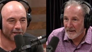 Joe Rogan - Socialism Is Mainstream Now