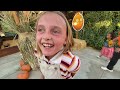 pumpkin patch fun at murray family farms october fun fest 🎃