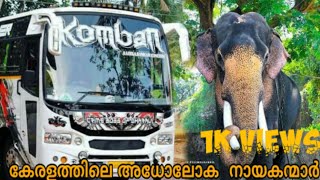 രണ്ടുപേരിൽ ആർക്കാണ്  കൂടുതൽ ഫാൻസ്‌ | ആന കൊമ്പൻ VS ബസ് കൊമ്പൻ #ONEFIVEMEDIA