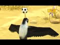 Bird x Football | Leon the Lion | 25' Compilation | Crazy animals