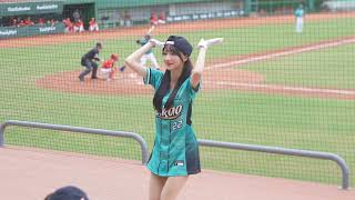 Wing Stars【一粒】張肇元應援《20240512味全龍VS台鋼雄鷹》台湾プロ野球 チアリーダー Taiwan Cheerleader