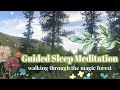 GUIDED SLEEP MEDITATION✨🌲 (walking through a magic forest visualization)