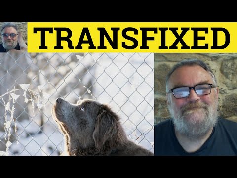 What do transfixed mean?