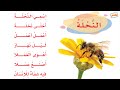 نشيد النحلة |  لغتي صف أول