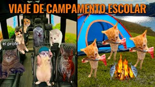 Viaje de campamento escolar (historias con gatos)