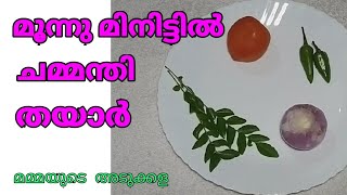 Tomato Onion Chutney in 3 minutes 😳 // തക്കാളി സവാള ചമ്മന്തി വെറും മൂന്ന് മിനുറ്റിൽ 😋 // Easy Recipe