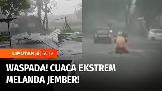 Cuaca Ekstrem di Jember! Banjir Memutus Akses Jalan, Puting Beliung Robohkan Pepohonan | Liputan 6
