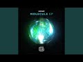 Molecule (Original Mix)