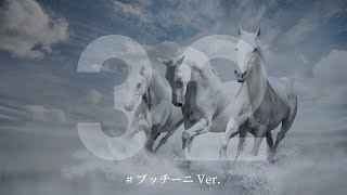 2023.03.19   白毛　ブッチーニ　阪神10R   鳴門ステークス