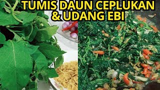 TUMIS DAUN CEPLUKAN PAHITNYA ISTIMEWA DAN MENGANDUNG BANYAK MANFAAT BEGINI CARAKU MEMASAK