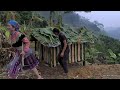 vang hoa and zon harvest bananas for wild boar survival instinct wilderness alone ep 223