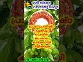 nature of rohini nakshatra women രോഹിണി നക്ഷത്രകാരികൾ ഇങ്ങനെ ആയിരിക്കും sriviswavasthuvidya