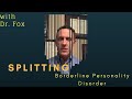 Splitting: A Borderline Personality Disorder Defense Mechanism