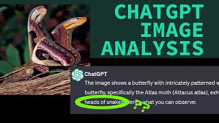 ChatGPT image analysis: ChatGPT 4o vision... It can see!