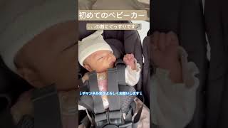 初めてのベビーカーに安心しきっています☺️#赤ちゃん #baby #癒し #かわいい #女の子baby #子育て #育児 #ベビーカー #お散歩デビュー #お散歩