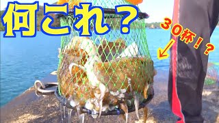 移動した先でとんでもない釣果を見せられた！！