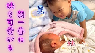 【起きた瞬間から妹が気になる兄😊】2歳＆0ヶ月 Japanese baby