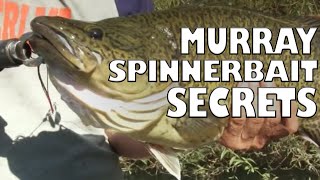 Spinnerbaiting Upper Murray Cod