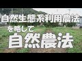 コガネムシの幼虫を害虫化させないための注意点【虫の話】2019年10月8日 自然農法