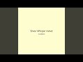 Silver Whisper Velvet