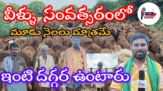 వీళ్లు సంవత్సరంలో మూడు నెలలు మాత్రమే ఇంటిదగ్గర ఉంటారు || VRM MEDIA CHANNEL