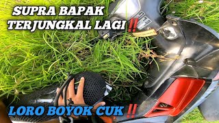 SUPRA BAPAK TERJUNGKAL LAGI‼️ TIGER CJDW PERDANA TRABAS‼️