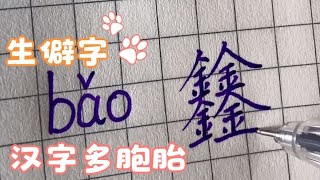 【手写】：生僻字，汉字里的多胞胎。