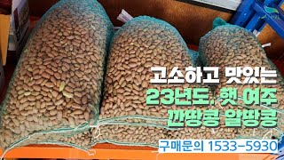 [신바람 농산물 협력농가 판매상품 1533-5930  (신선마켓.com)]고소하고 맛잇는 23년도 햇 여주 깐땅콩 알땅콩 1.5키로 3.5키로 반말 7키로 한말 단위로 판매