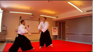 AIKIDO FOUNDATION - techniques in response to punches and kicks