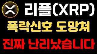 [XRP] 폭락신호 단기중장기 모두 하락신호 나왔습니다 진짜 난리 난리 쌩난리 났습니다 #엑스알피 #리플 #리플심훈 #엑스알피심훈 #심훈