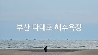 부산 다대포 해수욕장 #부산다대포해수욕장 #사하가볼만한곳 #고우니생태길