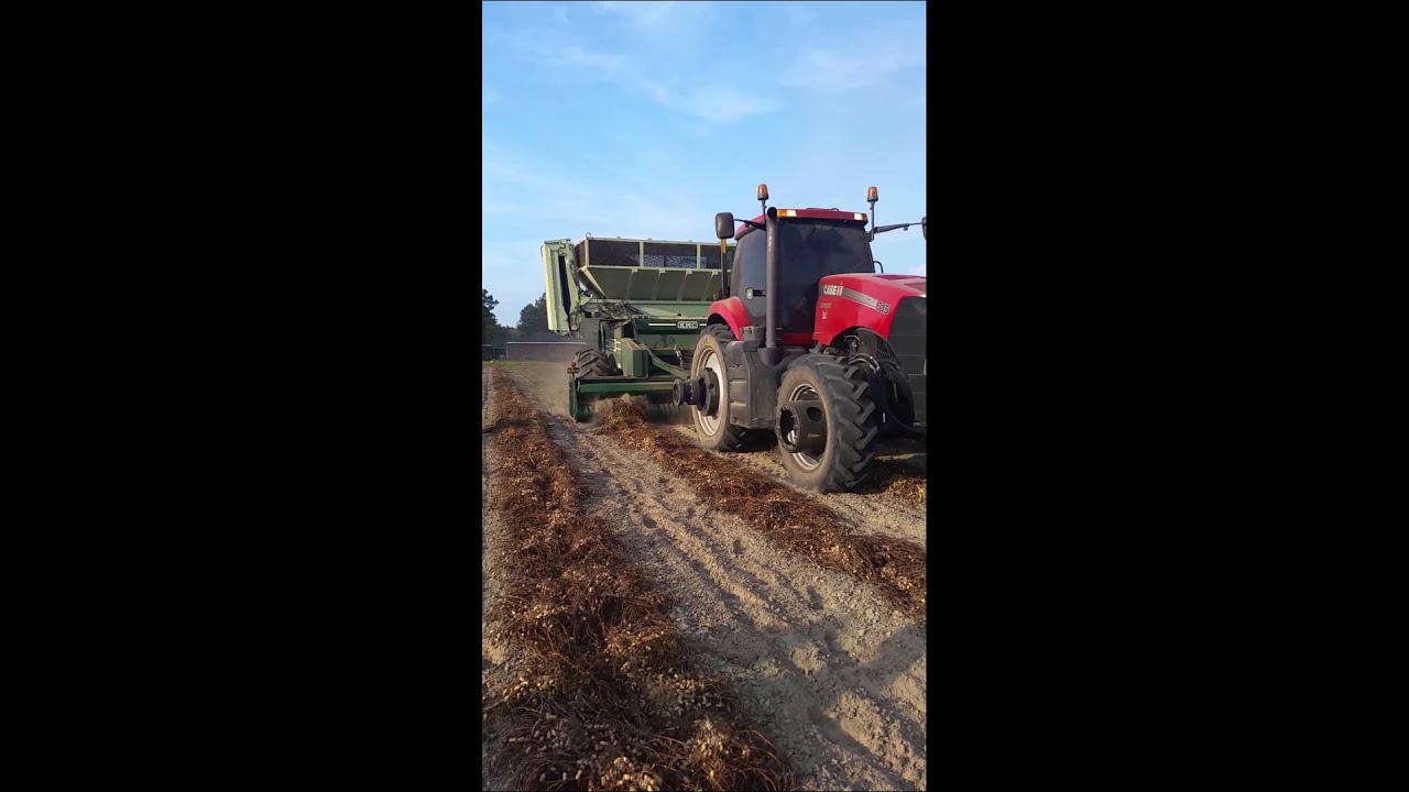 Peanut Picking Youtube
