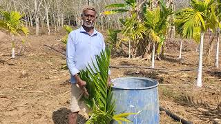 ಮೋದಿಕೇರ್ ಪ್ರೊಡಕ್ಟ್ ಅಗ್ರಿಕಲ್ಚರ್ ರಿಸಲ್ಟ್ ಹೊಸನಗರ