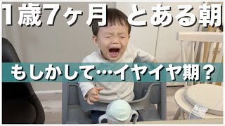 【密着】イヤイヤ期に入ったかもしれない1歳7ヶ月男の子のとある朝