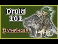 DRUID CLASS GUIDE - PATHFINDER SECOND EDITION